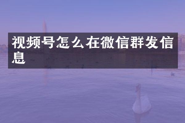 视频号怎么在微信信息