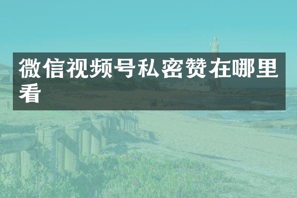 微信视频号私密赞在哪里看
