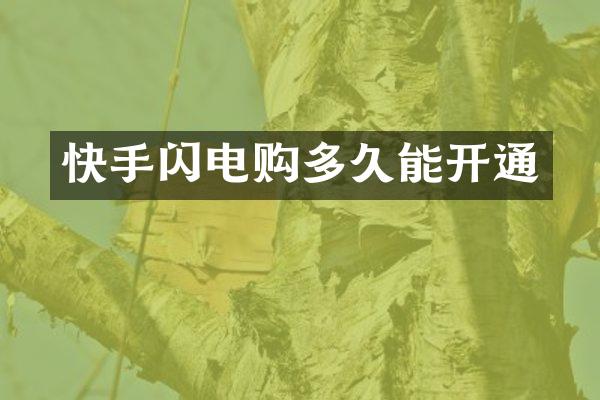 快手闪电购多久能开通