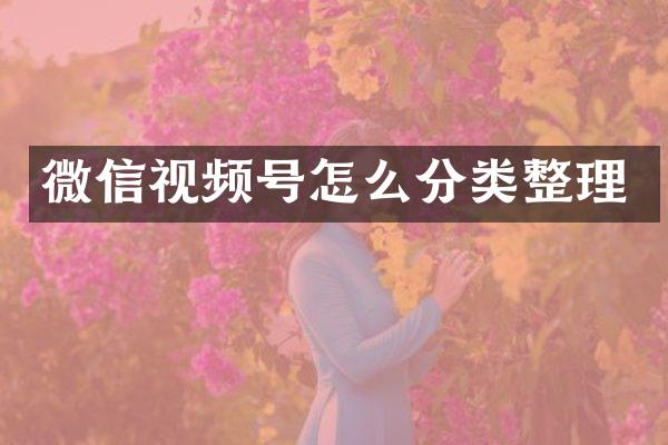 微信视频号怎么分类整理