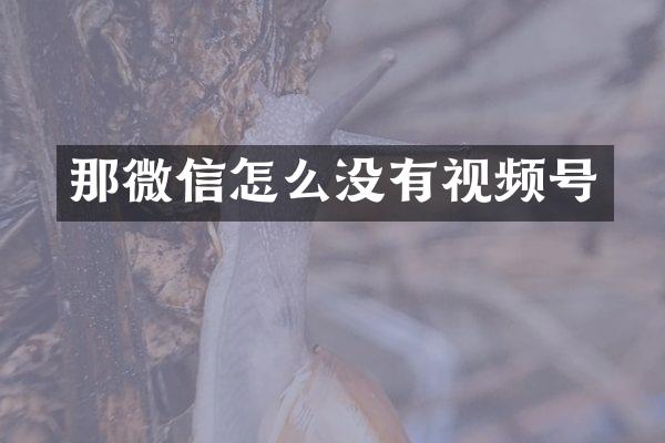 那微信怎么没有视频号