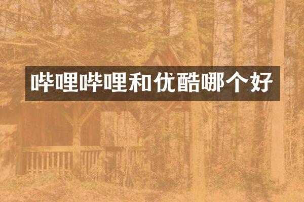 哔哩哔哩和优酷哪个好