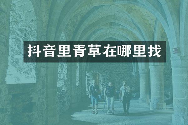 抖音里青草在哪里找
