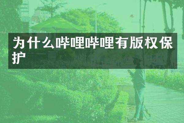 为什么哔哩哔哩有版权保护