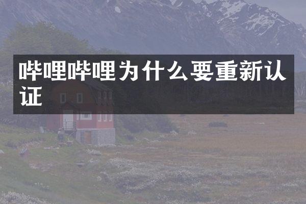 哔哩哔哩为什么要重新认证