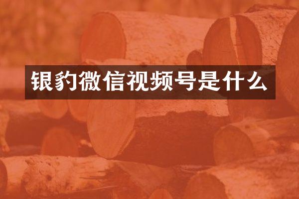 银豹微信视频号是什么