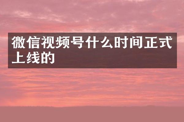 微信视频号什么时间正式上线的