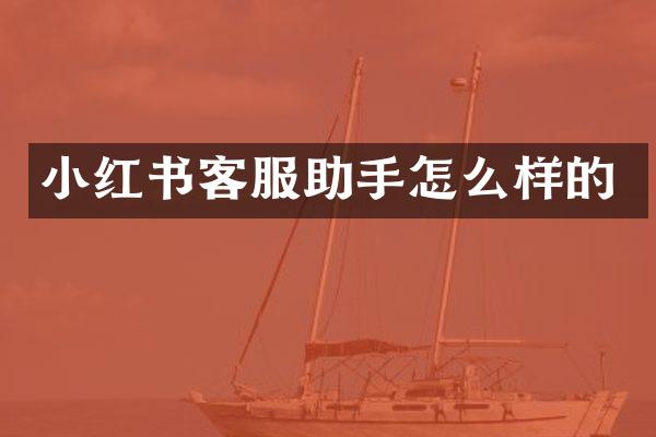 小红书客服助手怎么样的