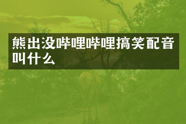 熊出没哔哩哔哩搞笑配音叫什么
