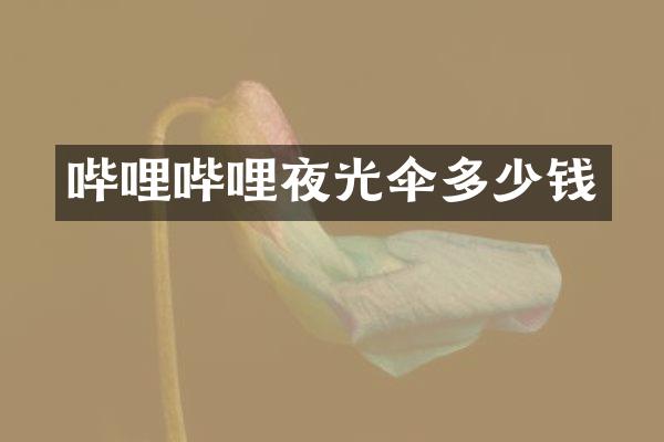 哔哩哔哩夜光伞多少钱