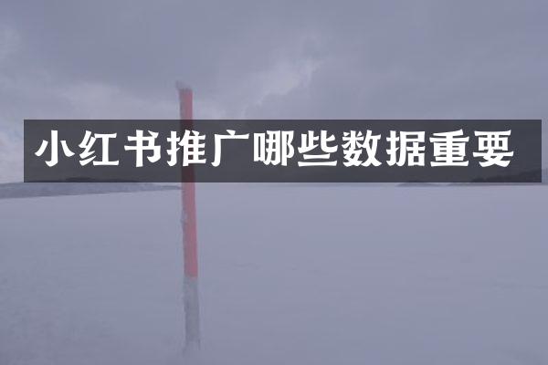 小红书推广哪些数据重要