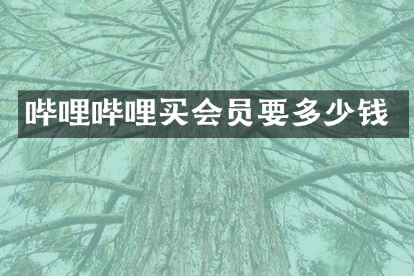 哔哩哔哩买会员要多少钱