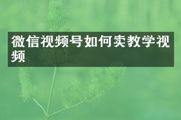 微信视频号如何卖教学视频