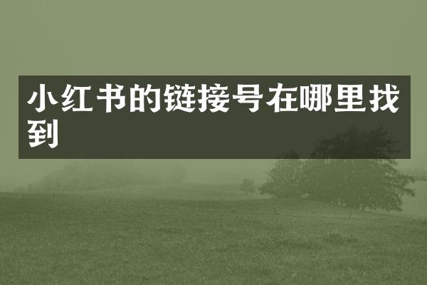 小红书的链接号在哪里找到