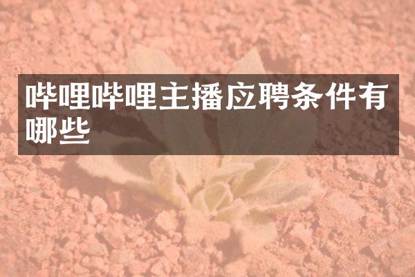 哔哩哔哩主播应聘条件有哪些