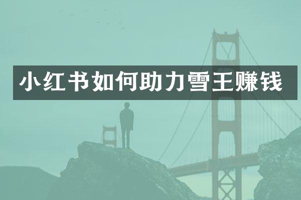小红书如何助力雪王赚钱