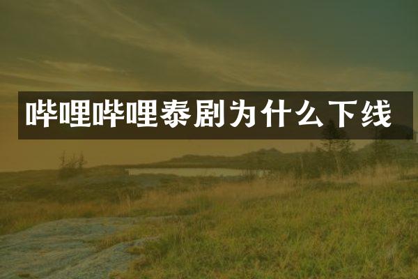 哔哩哔哩泰剧为什么下线