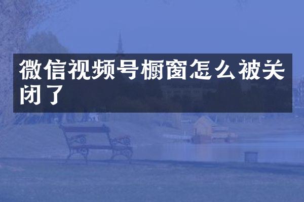 微信视频号橱窗怎么被关闭了