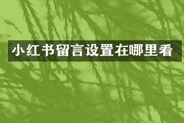 小红书留言设置在哪里看