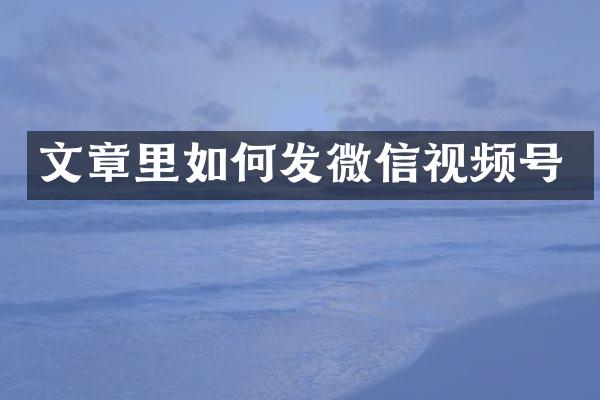 文章里如何发微信视频号