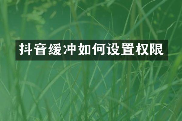抖音缓冲如何设置权限