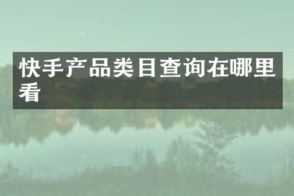 快手产品类目查询在哪里看