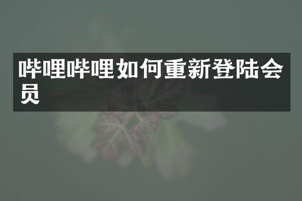 哔哩哔哩如何重新登陆会员