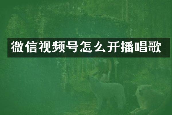 微信视频号怎么开播唱歌