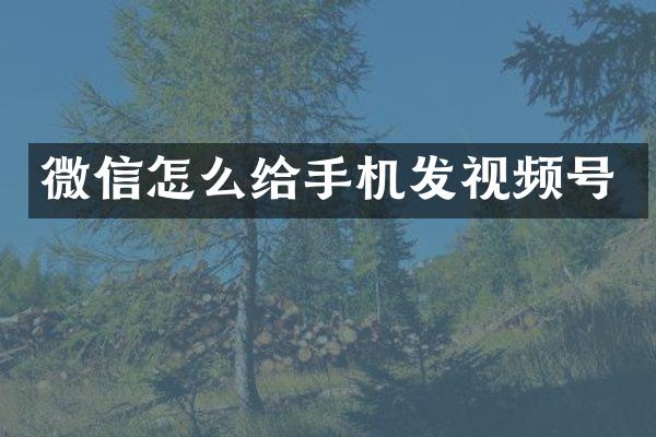 微信怎么给手机发视频号
