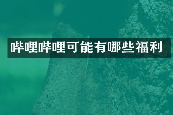 哔哩哔哩可能有哪些福利