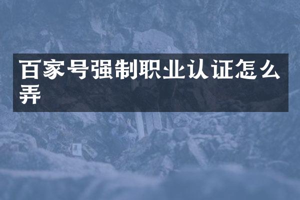 百家号强制职业认证怎么弄
