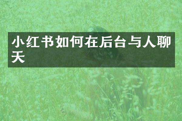 小红书如何在后台与人聊天