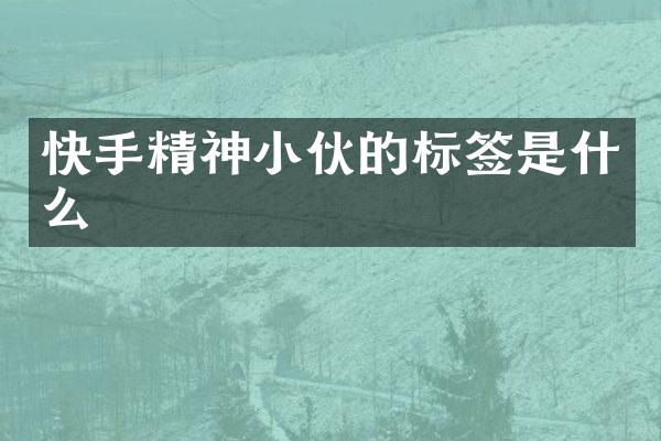 快手精神小伙的标签是什么