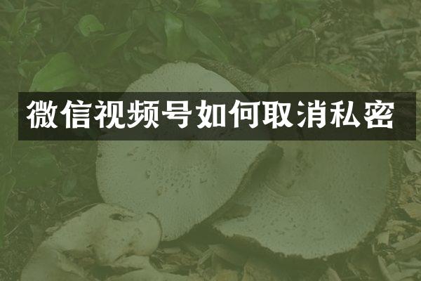 微信视频号如何取消私密