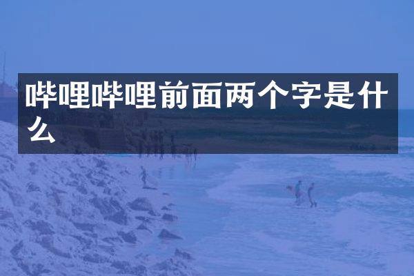 哔哩哔哩前面两个字是什么