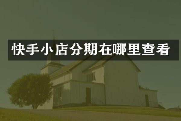 快手小店分期在哪里查看