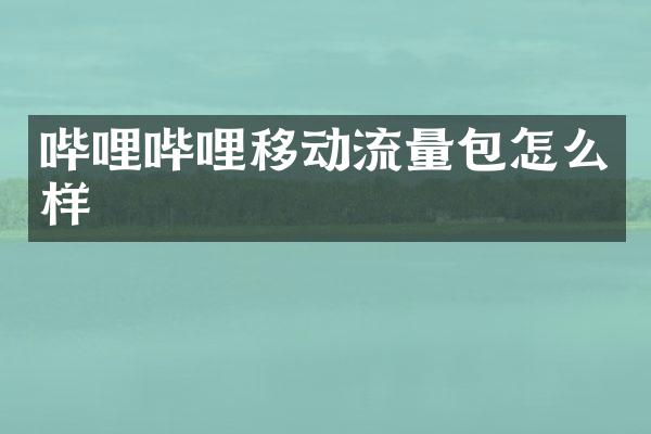 哔哩哔哩移动流量包怎么样