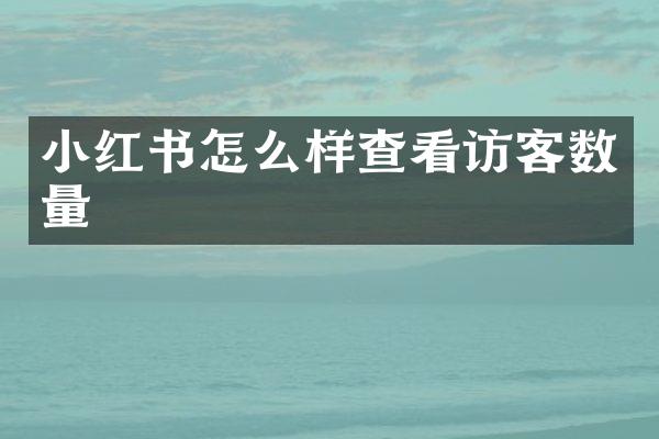 小红书怎么样查看访客数量