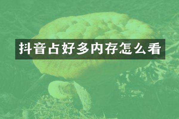 抖音占好多内存怎么看