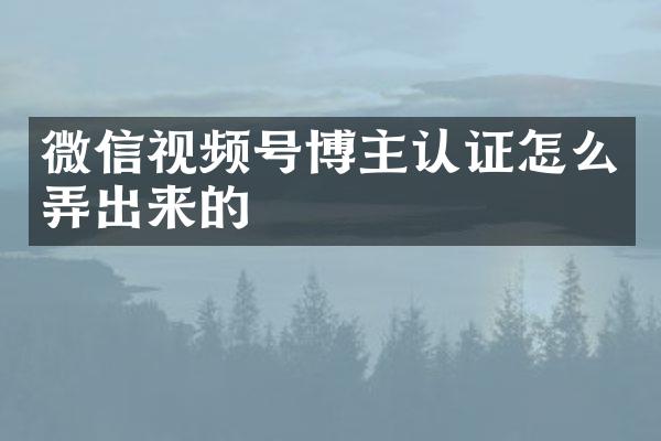 微信视频号博主认证怎么弄出来的
