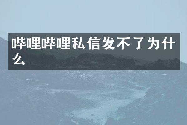 哔哩哔哩私信发不了为什么