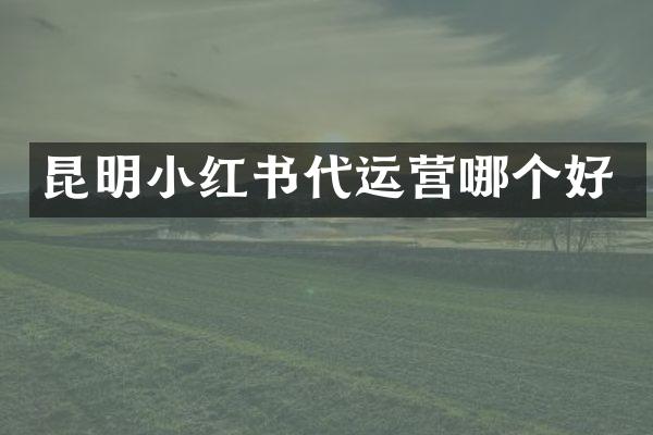 昆明小红书代运营哪个好