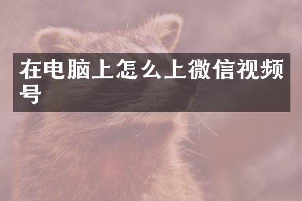 在电脑上怎么上微信视频号