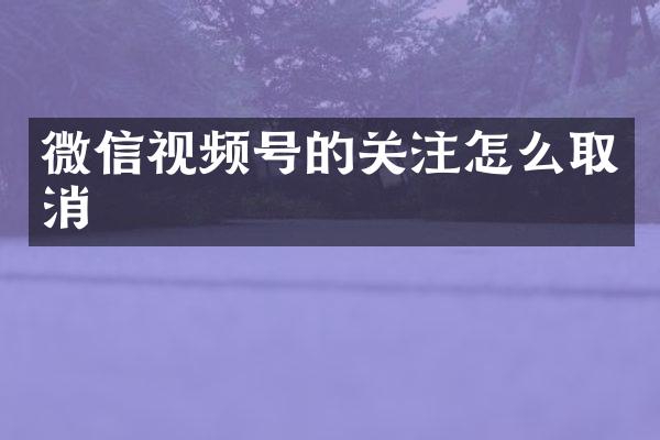 微信视频号的关注怎么取消