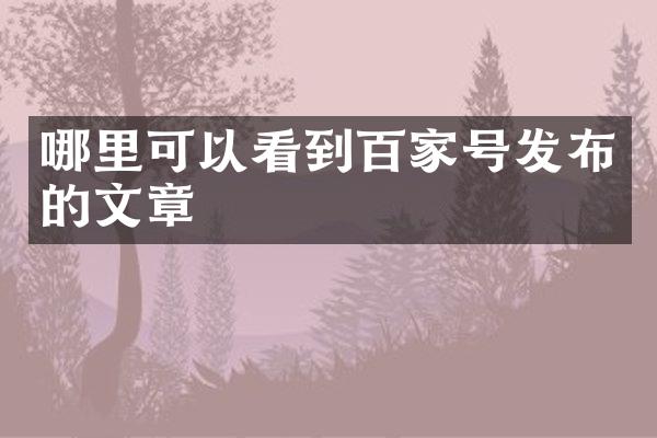 哪里可以看到百家号发布的文章