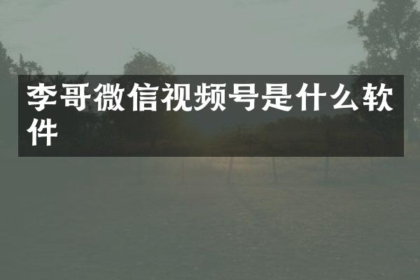 李哥微信视频号是什么软件