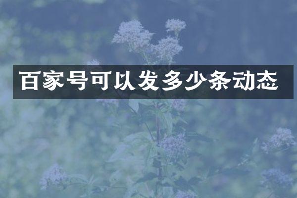 百家号可以发多少条动态