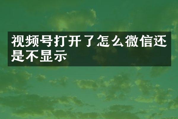 视频号打开了怎么微信还是不显示