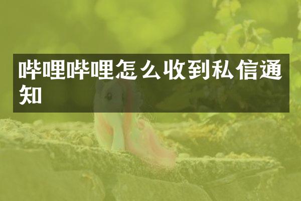 哔哩哔哩怎么收到私信通知