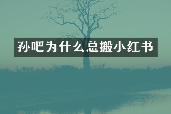 孙吧为什么总搬小红书